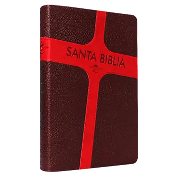Biblia Reina Valera 1960 Mediana Letra Grande Imitación Piel Marrón Rojo [RVR065CLG]