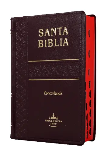 Biblia Reina Valera 1960 Tamaño Bolsillo Letra Chica Vinil Vino [RVR022cLGTI]