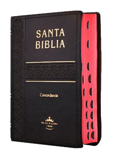 Biblia Reina Valera 1960 Tamaño Bolsillo Letra Chica Vinil Negro [RVR022cLGTI]