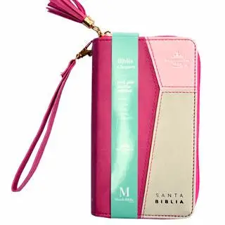 Biblia RVR60 015czti PJR Contempo Rosa/Fucsia/Gris claro Tamaño Chequera